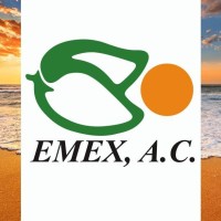 Emex, A,C, Logo