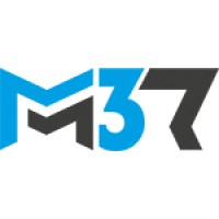 MM37 | Professional IT Services Logo