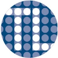 TrendLine Insights LLC Logo