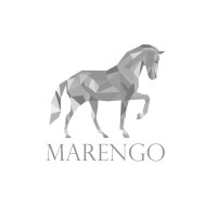 Marengo Ventures Logo