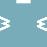 Monkeywings b.v Logo