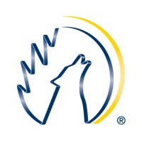 Blue Wolf Logo