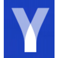 Y Verge Logo
