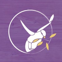 Pseads Institute Logo