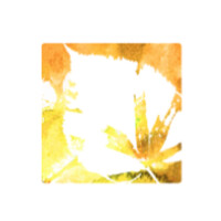 Bert Hellinger Instituut Nederland Logo