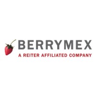 BerryMex Logo
