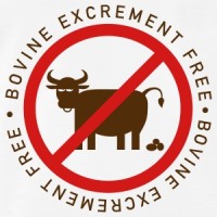 No Bull Investing, Inc. Logo