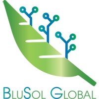BluSol Global Logo