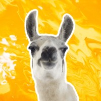 EPIC LLAMA Logo