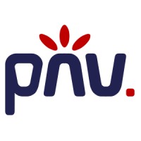 PNV d.o.o., produkcija novih vizij Logo
