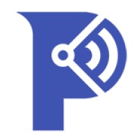 Paladin Cyber Logo