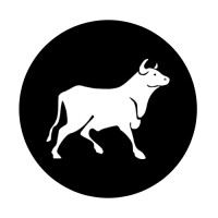 UCLA Undergraduate Investment Society Logo