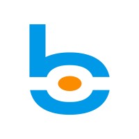 Big Vision Logo