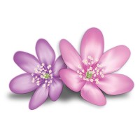 Esoteric Womens Health Logo