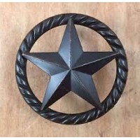 Texas International Logo