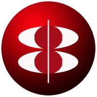 Intelligent Business Strategies Logo