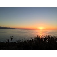 California Pictures Logo