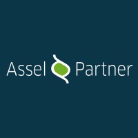 Wirtschaftsberatungs- und Steuerberatungsgesellschaft Assel & Partner Logo