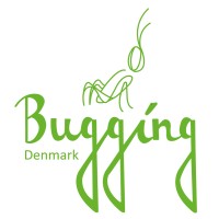 Bugging Denmark Logo