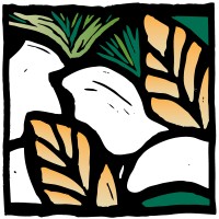 Magnolia Birth House Logo
