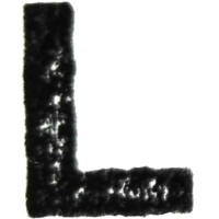 Letterswoordenzinnen Logo