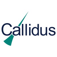 Callidus Welding Solutions Logo