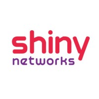 Shiny Networks Logo