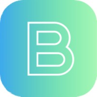 Bise Accounting Services, LLC Logo