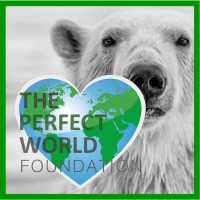 The Perfect World Foundation Logo