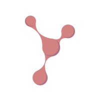 Yungas Logo