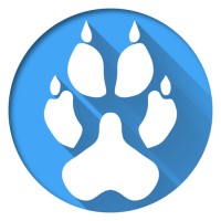 LynxIT Logo