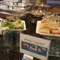 Catering Sensation Logo
