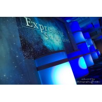 Expressive Structures Logo