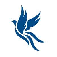 Bluewill GmbH Logo