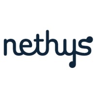Nethys Logo
