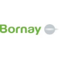 Bornay Logo