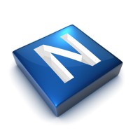 NETeffect Solutions Logo