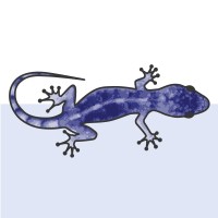 Blue Gecko Marketing GmbH Logo