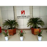 临清市鸿基集团有限公司 镀铝锌彩涂钢卷 Logo