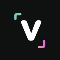 Visul Logo