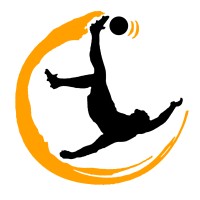 Sallandse Voetbaldagen Logo
