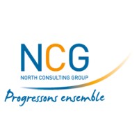 NCG - North Consulting Group Logo