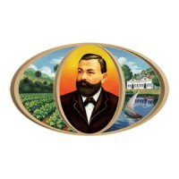 TERRA DANNEMANN Logo