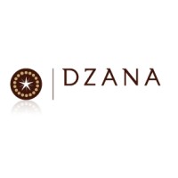 Dzana Investments Logo