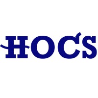 HANDS_ON Consulting Services Logo