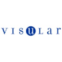 Visular Logo