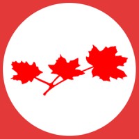 Mamann, Sandaluk & Kingwell LLP Logo