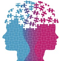 Halcyon Training Logo