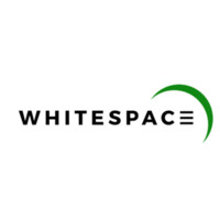 Whitespace Technology Logo