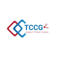 The Computer Consulting Group, LLC Logo